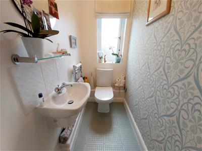 Picture 7